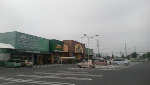 スーパー　ニシナフードバスケット堀南店（スーパー）まで890m
