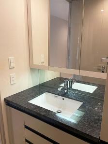 洗面設備　同マンション別部屋参照。