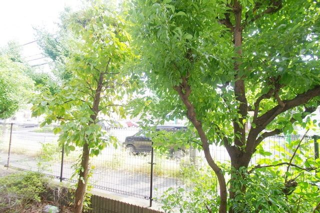 眺望　★お部屋のお探しはタウンハウジング稲田堤店まで★