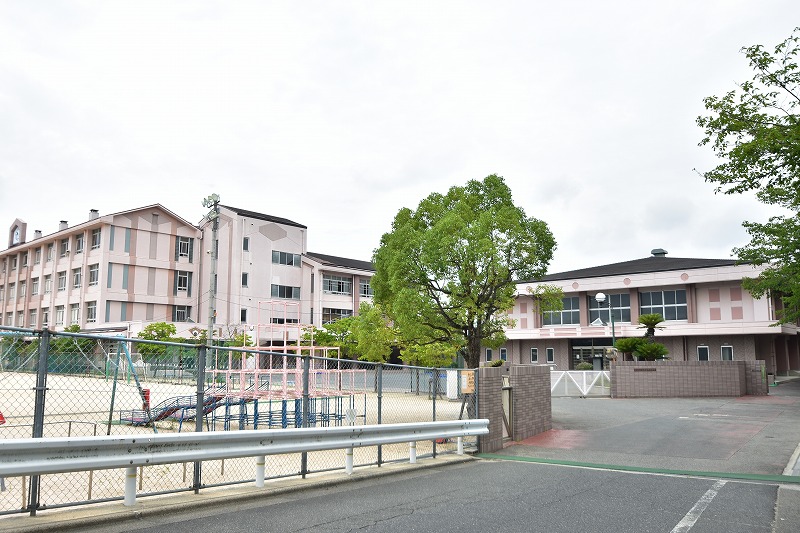 小学校　広島市立向洋新町小学校（小学校）まで780m