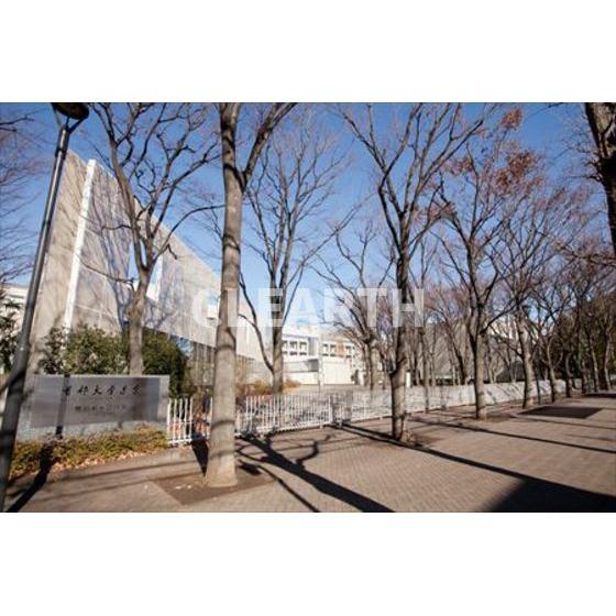 その他　その他周辺「ローソンまで280ｍ」首都大学東京