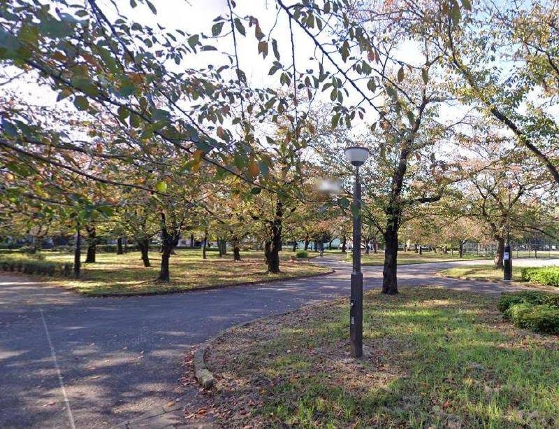 公園　東綾瀬公園（公園）まで100m