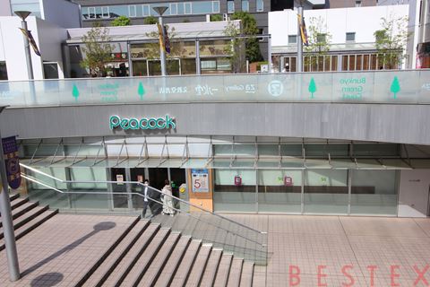 スーパー　ピーコックストア文京グリーンコート店（スーパー）まで800m