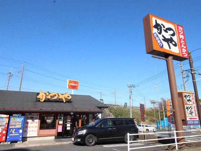 スーパー　かつや横浜長津田店（スーパー）まで100m