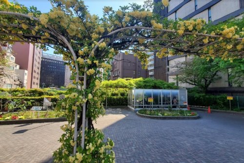 公園　楓川新富橋公園（公園）まで105m