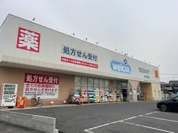 ドラックストア　ウエルシア高石東羽衣店（ドラッグストア）まで609m
