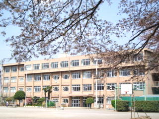 小学校　八王子市立 大和田小学校（小学校）まで568m