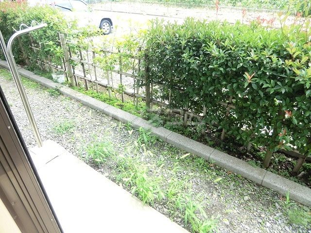 庭