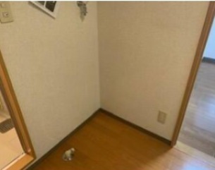 その他　※同仕様写真含む