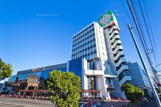 スーパー　ライフ平和台店（スーパー）まで686m