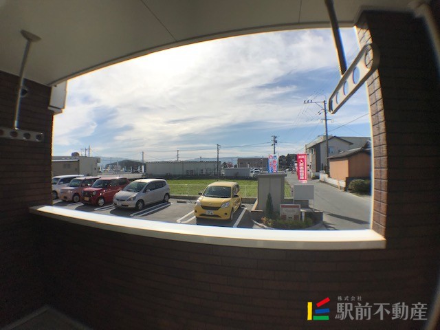 CamelliaIのその他写真