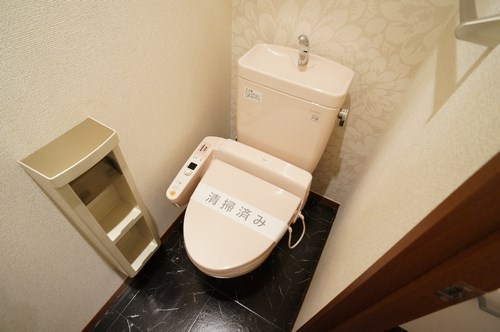 シャーメゾンフィオーレBのトイレ写真