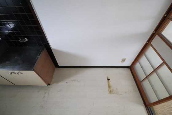 その他部屋・スペース　※別号室の写真です