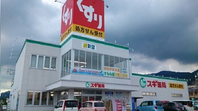ドラックストア　スギ薬局新城店様（ドラッグストア）まで1100m