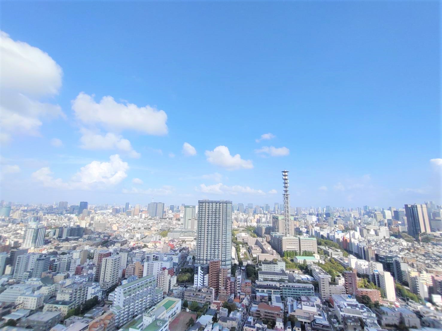 眺望　高層階ならではの素晴らしい眺望です♪