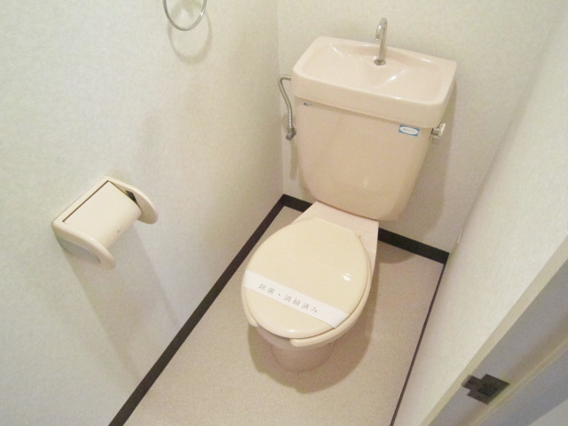 トイレ　トイレも気になるポイント