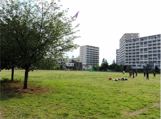 【バインコートの公園】