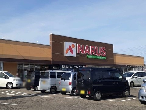 スーパー　NARUS(ナルス) 国府店（スーパー）まで190m