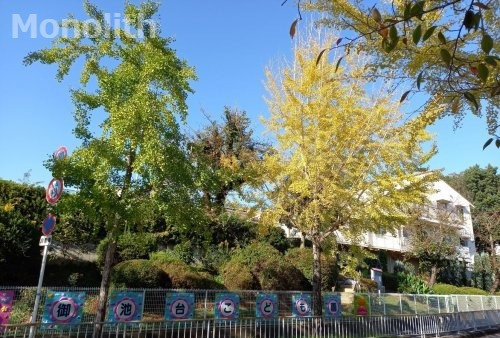 幼稚園・保育園　幼保連携型認定こども園御池台こども園（幼稚園・保育園）まで2664m