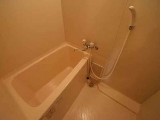 バス・シャワールーム　他号室のお写真です