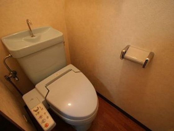 トイレ　他号室のお写真です