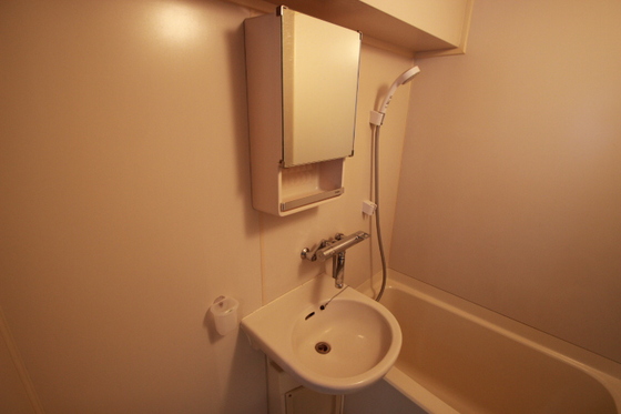 洗面設備　※他部屋のお写真になります