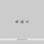 平井駅より徒歩5分 3階 築33年1ヶ月の賃貸物件