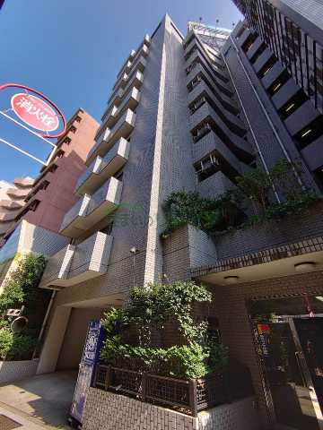 建物外観　スカイビュー246