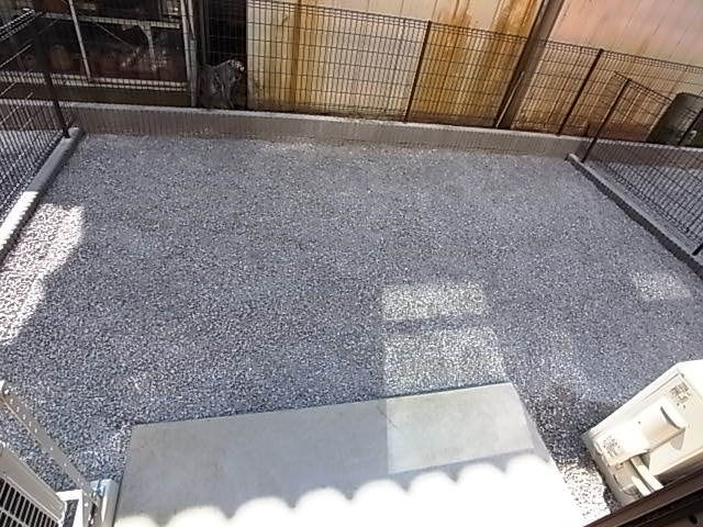 庭