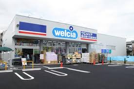 ドラックストア　ウエルシア東川口店（ドラッグストア）まで171m