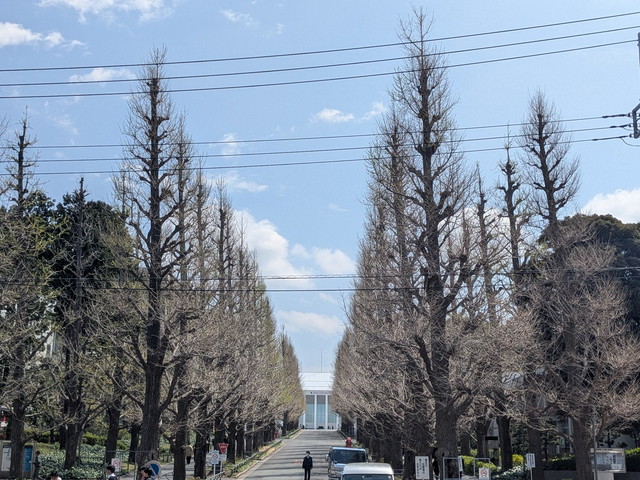 大学・短大　私立慶應義塾大学日吉キャンパス（大学・短大）まで554m