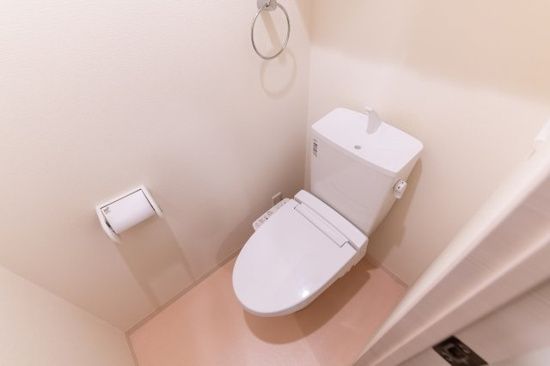 リビナ奥村ドゥーのトイレ写真