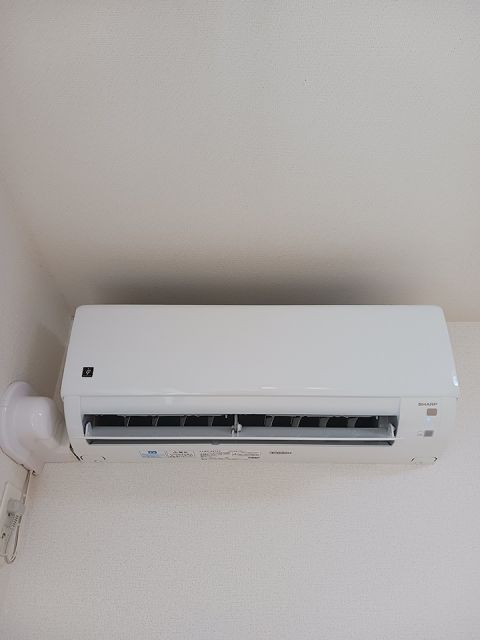 パーシモンIIのその他写真