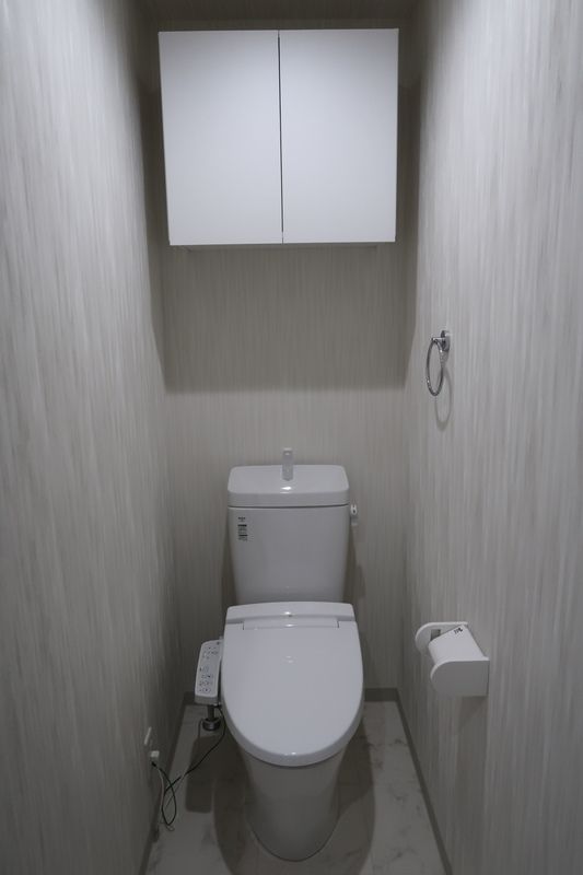 小田急小田原線 本厚木駅 徒歩14分 2階建 築6年のトイレ写真