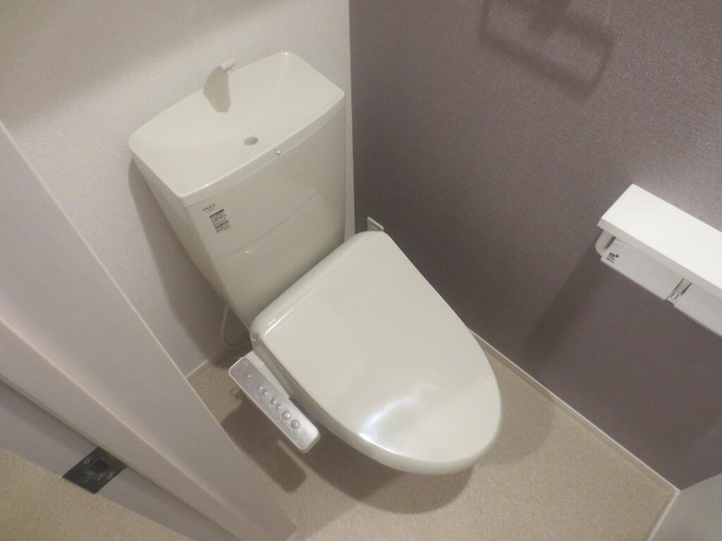 ＪＲ常磐線 佐和駅 徒歩45分 2階建 築1年のトイレ写真
