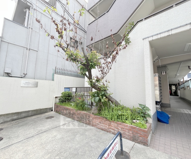 庭