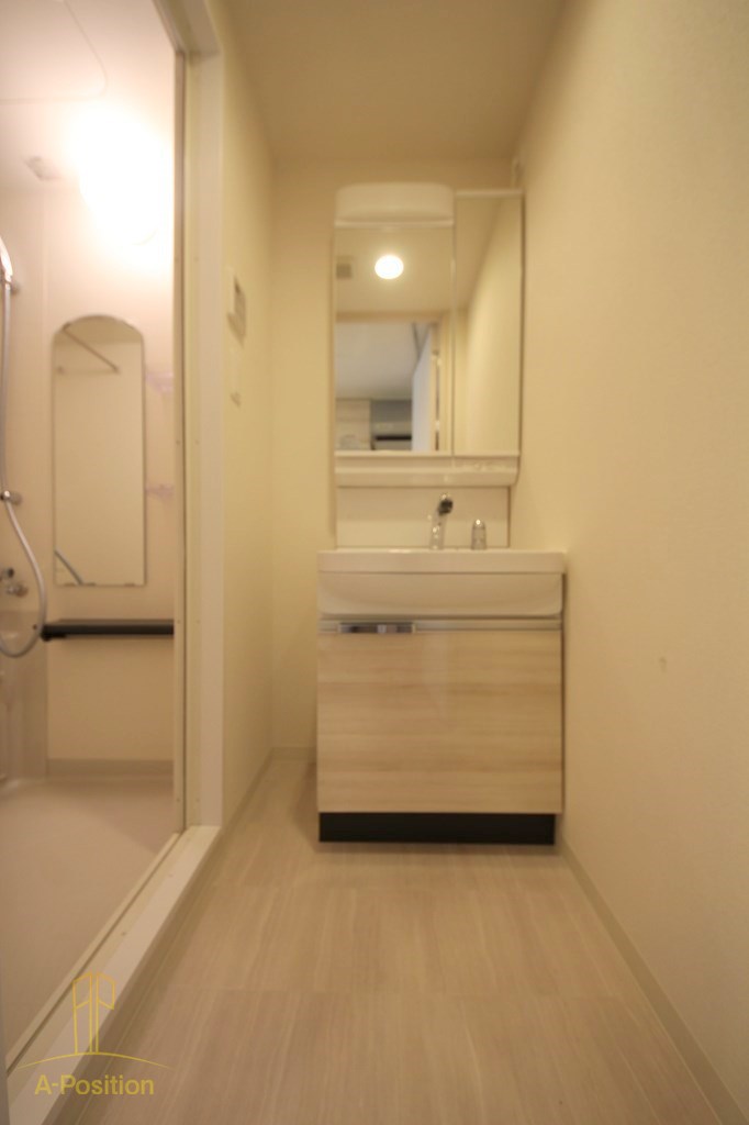 洗面設備　プレサンス心斎橋ソレイユ