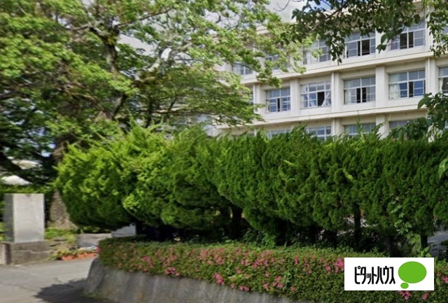 中学校　富士宮市立富士宮第一中学校（中学校）まで1206m
