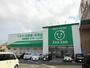 ドラックストア　ザグザグ林田店（ドラッグストア）まで1700m