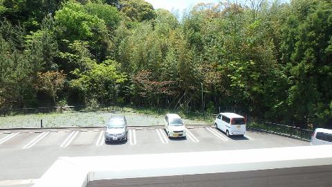 眺望　緑が溢れる眺望♪（イメージ）