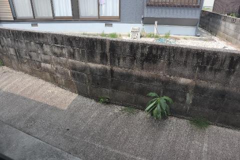 庭　洗濯干しスペース