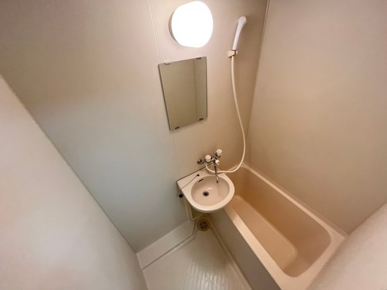 バス・シャワールーム　※別部屋の写真です