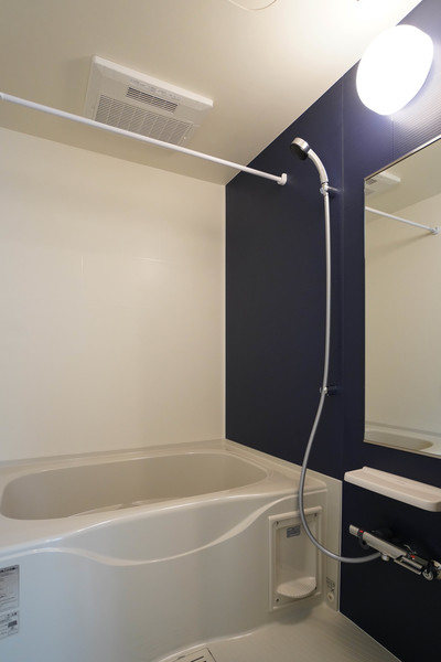 バス・シャワールーム　同じ建物の別なお部屋