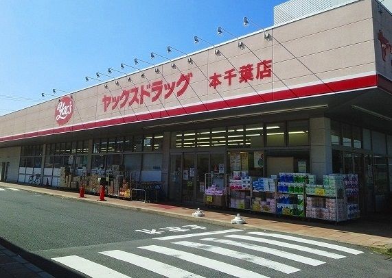 ドラックストア　ヤックスドラッグ調剤店（ドラッグストア）まで850m
