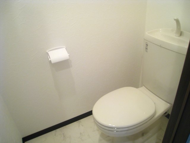 トイレ　同物件、別号室のものです。