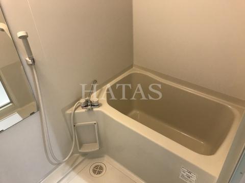 バス・シャワールーム　同物件別部屋です。