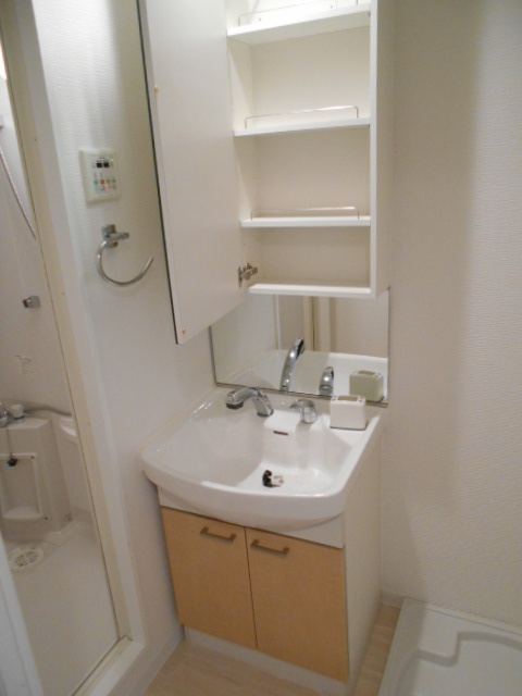 洗面設備　収納付きでシャンプードレッサーの付いた洗面台です