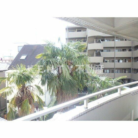 眺望　バルコニー