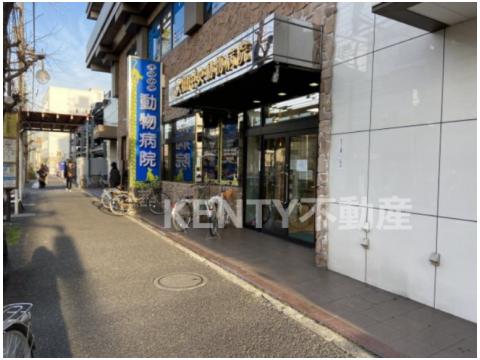 病院　大田中央動物病院（病院）まで217m