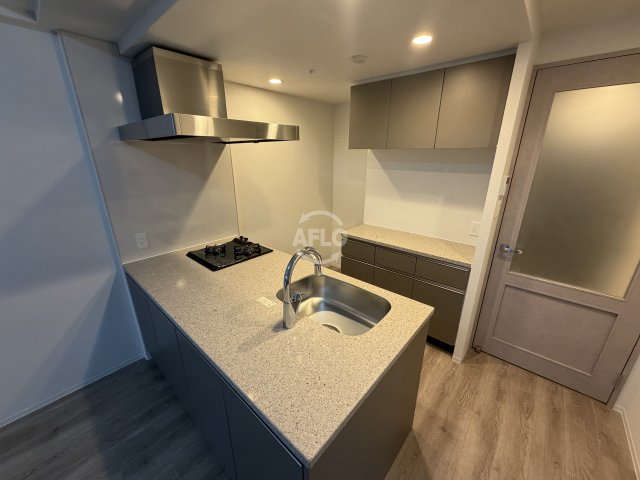 キッチン　エスリードレジデンス ザ・グラン南堀江　キッチン